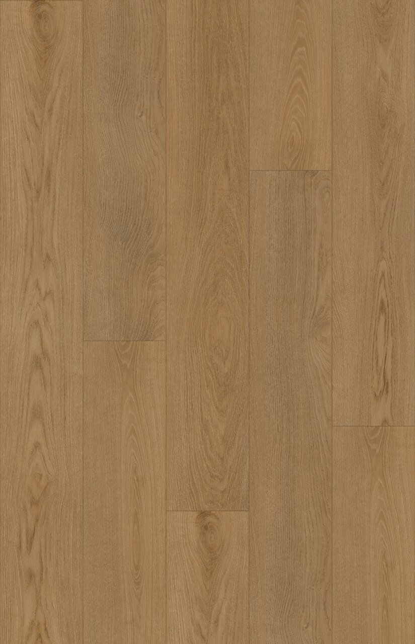 sky painted daybreak