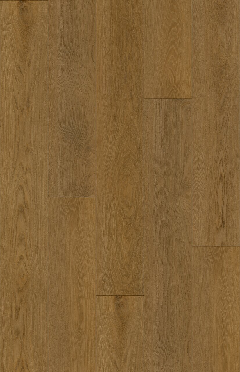 sky painted spectacle