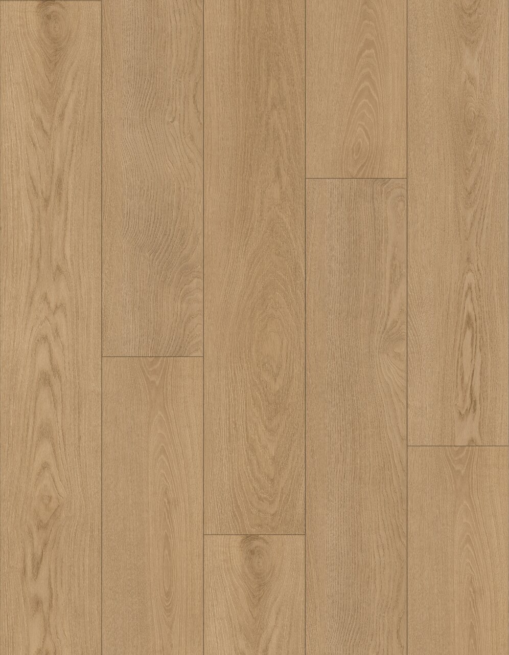 sky painted celestia